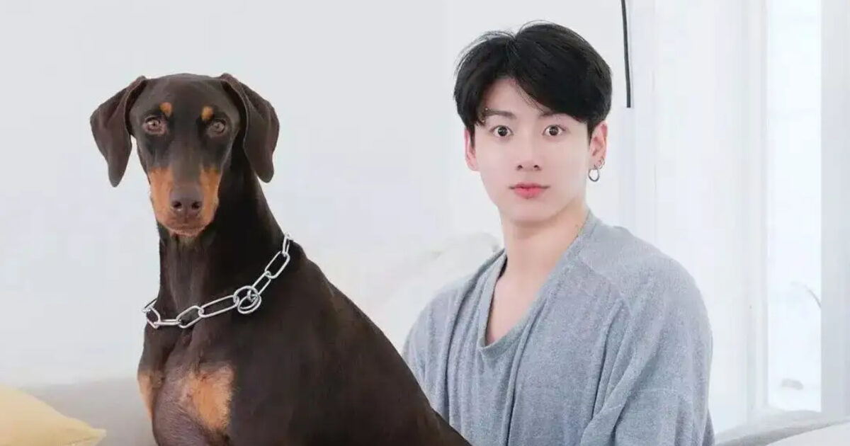 Jungkook Faces Backlash for Allegedly Leaving Dog Bam Behind